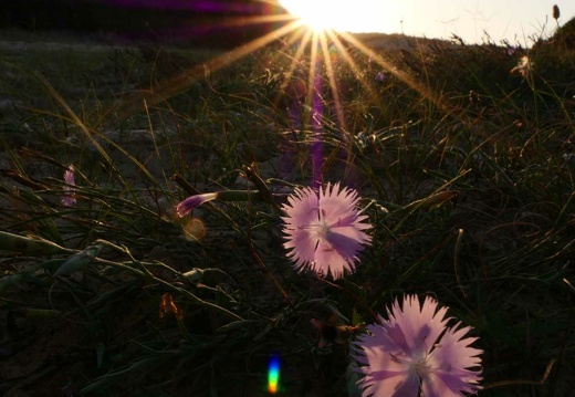La sélection des photographes au fil des saisons